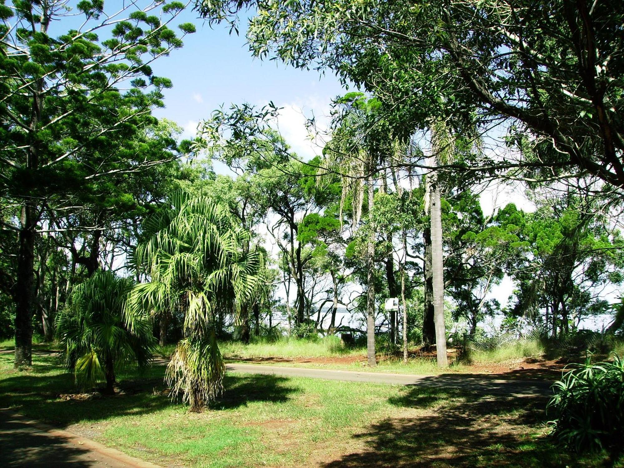 Seminara Apartments Coochiemudlo Island Exteriör bild
